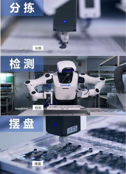 硬核實力鑄就卓越，小拓榮膺高工機器人金球獎年度產(chǎn)品獎