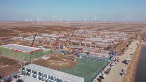 東營通威1萬噸/年南美白對蝦智慧化養(yǎng)殖項目加快推進，助力利津縣園區(qū)資產(chǎn)投資與管理