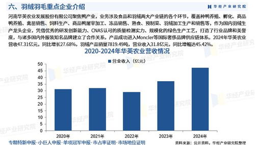 2025年中國羽絨羽毛行業產業鏈、重點企業分析及投資戰略與園區資產投資管理研究