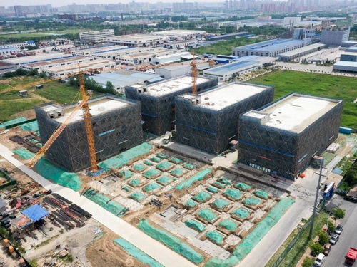 投資50億元，宿遷搶灘“它經濟” 首個寵物經濟產業園蓄勢待發