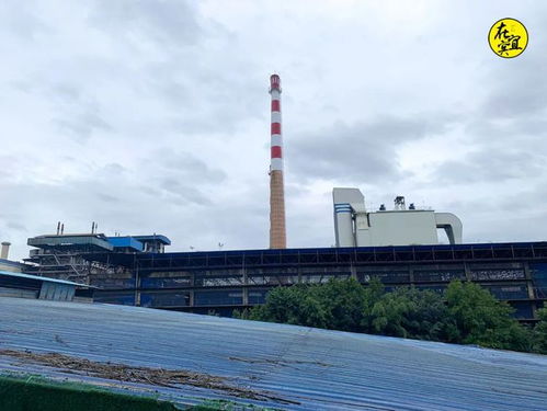 年營收309億，41年歷史的宜賓老廠搬遷背后的城市蝶變